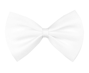 MUCHA KLASYCZNA BIAŁA