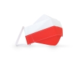 MASKA HIGIENICZNA DWUWARSTWOWA BIAŁO-CZERWONA M/L WF-002 10szt