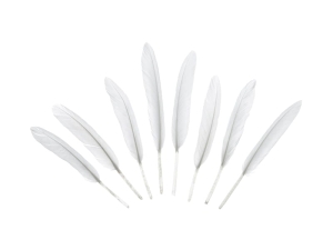 PIÓRKA DEKORACYJNE BIAŁE 8szt