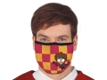 MASECZKA HIGIENICZNA TRÓJWARSTWOWA HARRY POTTER GRYFFINDOR 1szt