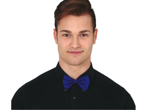 MUCHA NIEBIESKA 11cm