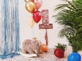 PINATA CYFRA 1 RÓŻOWE ZŁOTO 40,5cm