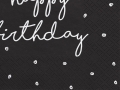 SERWETKI HAPPY BIRTHDAY CZARNE 20 szt.