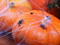 PAJĘCZYNA HALLOWEEN BIAŁA 60g