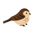 ZESTAW WRÓBELEK BRĄZOWY 134-140 4el