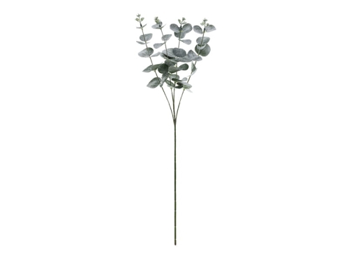 GAŁĄZKA EUKALIPTUSA 60cm