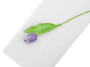 TIUL DROBNY SIATECZKA BIAŁY 15x10m