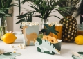 PUDEŁKA NA POPCORN DINOZAURY 6szt