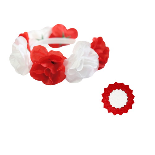 ZESTAW NARODOWY BIAŁO-CZERWONY 2el