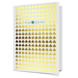 KARTKA ŻYCZENIA POWODZENIA KONICZYNKI BIAŁO-ZŁOTA 19x13cm