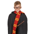 ZESTAW HARRY POTTER GRYFFINDOR 2el