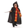 ZESTAW HARRY POTTER GRYFFINDOR 2el