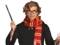 ZESTAW HARRY POTTER GRYFFINDOR 2el