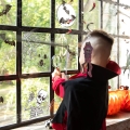 NAKLEJKI NA OKNO HALLOWEEN BIAŁO-CZARNE 8szt