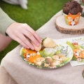 TALERZYKI PAPIEROWE LEŚNE ZWIERZĄTKA 18cm 6szt