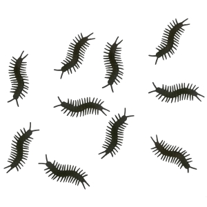 ROBAKI STONOGI CZARNE 10cm 10szt