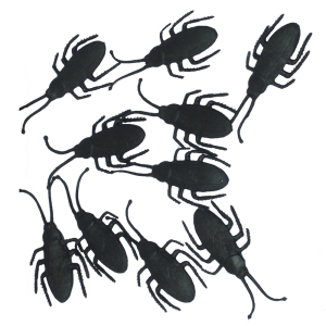 ROBAKI KARALUCHY CZARNE 7cm 10szt