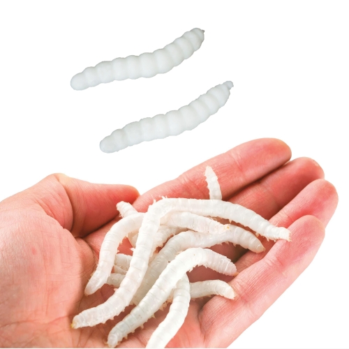 ROBAKI LARWY GUMOWE BIAŁE 4cm 20szt