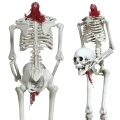 KUKŁA WISZĄCA SZKIELET Z ODERWANA GŁOWĄ BIAŁY 37cm