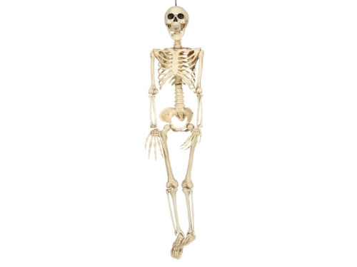 KUKŁA WISZĄCA KOŚCIOTRUP SZKIELET 90cm