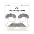 ZESTAW WĄSY I BRWI SIWE