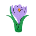 ZESTAW KWIATEK KROKUS C.ZIELONY 98-110 3el