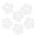 ZESTAW FRONTÓW KWIATEK HIBISKUS FILCOWE BIAŁY 6x5,5cm 6szt