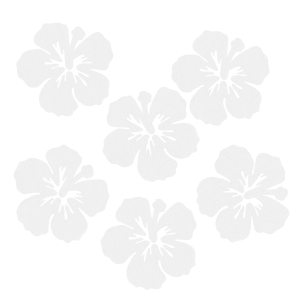 ZESTAW FRONTÓW KWIATEK HIBISKUS FILCOWE BIAŁY 6x5,5cm 6szt