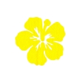 ZESTAW FRONTÓW KWIATEK HIBISKUS FILCOWE ŻÓŁTY 6x5,5cm 6szt