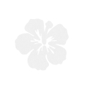 ZESTAW FRONTÓW KWIATEK HIBISKUS FILCOWE BIAŁY 6x5,5cm 6szt