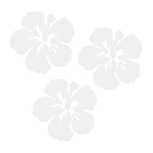 ZESTAW FRONTÓW KWIATEK HIBISKUS FILCOWE BIAŁY 6x5,5cm 3szt